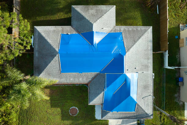Best Storm Damage Roof Repair  in Taylor, TX