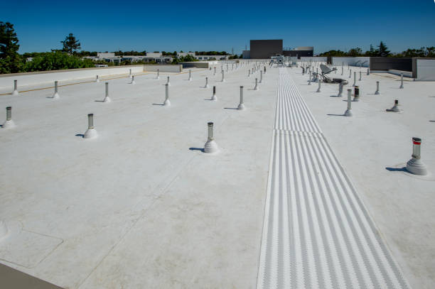 Best Green or Eco-Friendly Roofing Solutions  in Taylor, TX